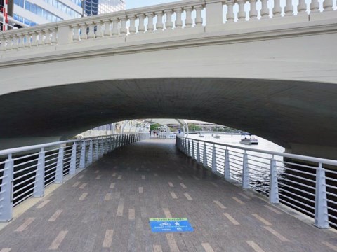 Florida Bike Trails, Tampa Riverwalk