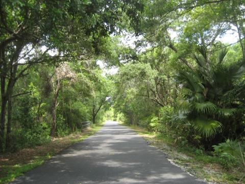 Upper Tampa Bay Trail - north