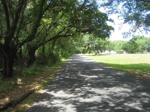 Upper Tampa Bay Trail - north