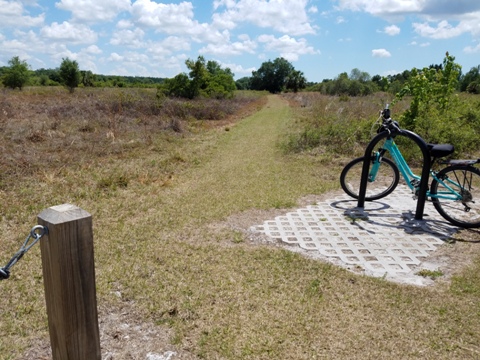 Upper Tampa Bay Trail - north