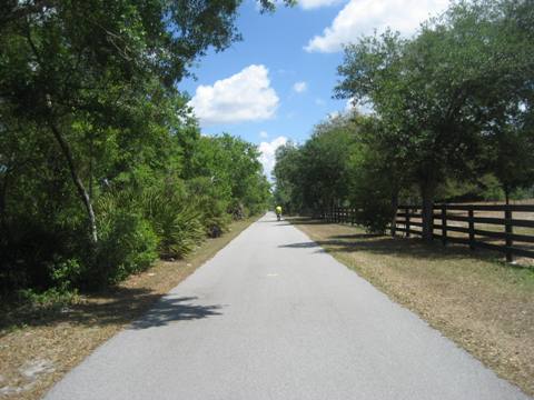 Upper Tampa Bay Trail - north