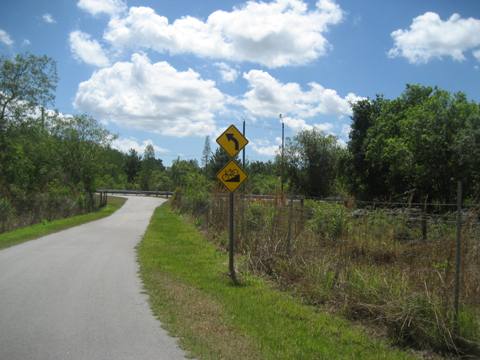 Upper Tampa Bay Trail - north