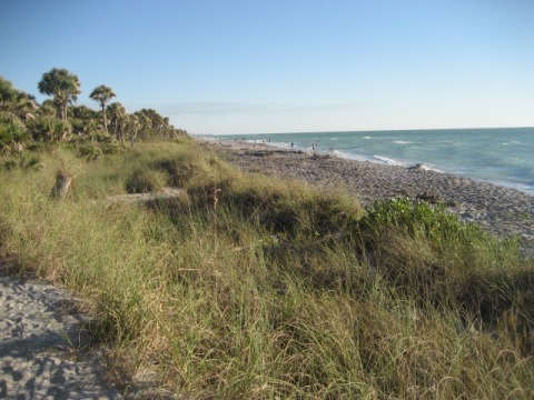 Venice Legacy Trail, Venice FL biking, Caspersen Beach