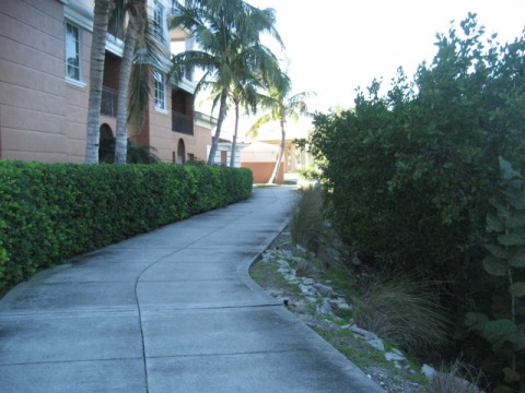 Venetian Water Way Trail, Venice FL biking