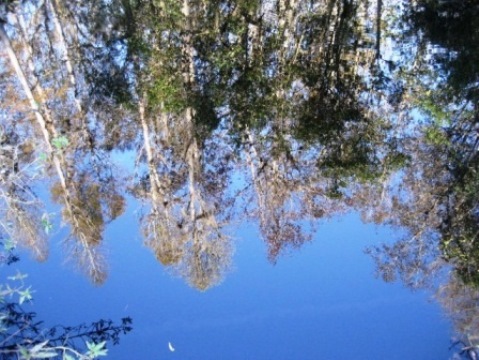 Van Fleet State Trail, Green Pond to Bay Lake