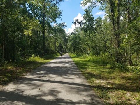 Van Fleet State Trail, Bay Lake to Mabel