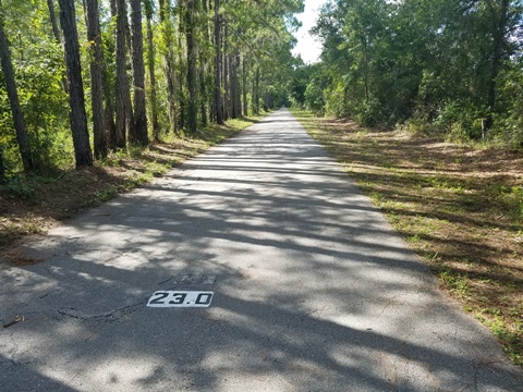 Van Fleet State Trail, Bay Lake to Mabel