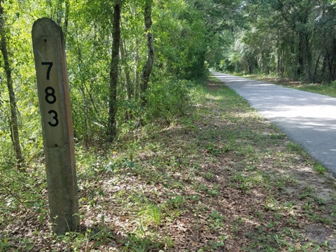 Van Fleet State Trail, Bay Lake to Mabel