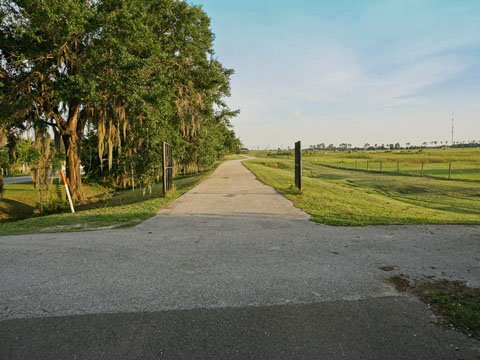 Van Fleet State Trail, wildlife