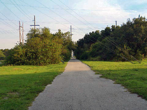 Van Fleet State Trail, wildlife