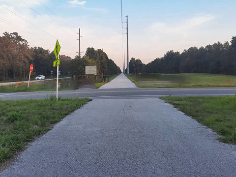 Van Fleet State Trail, wildlife