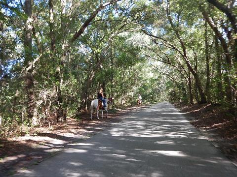 West Orange Trail, Winter Garden, Oakland, Apopka, Florida bike trail