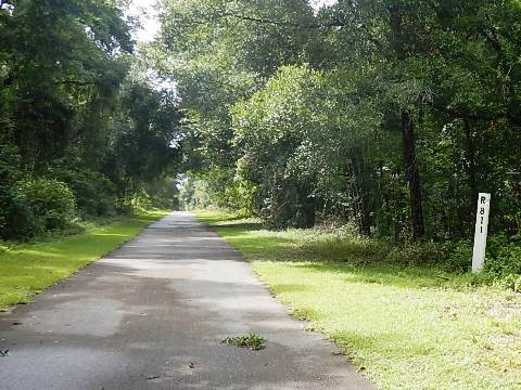 Withlacoochee State Trail Nobleton to Istachatta