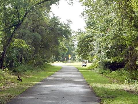 Withlacoochee State Trail Nobleton to Istachatta