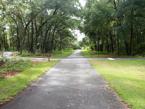 Withlacoochee State Trail Nobleton to Istachatta